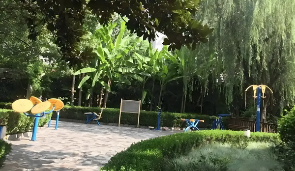 留学生落户深圳多久_《风骚律师》主演想暴打马里奥：把他的胡子撕下来 个是看上有一主力去的